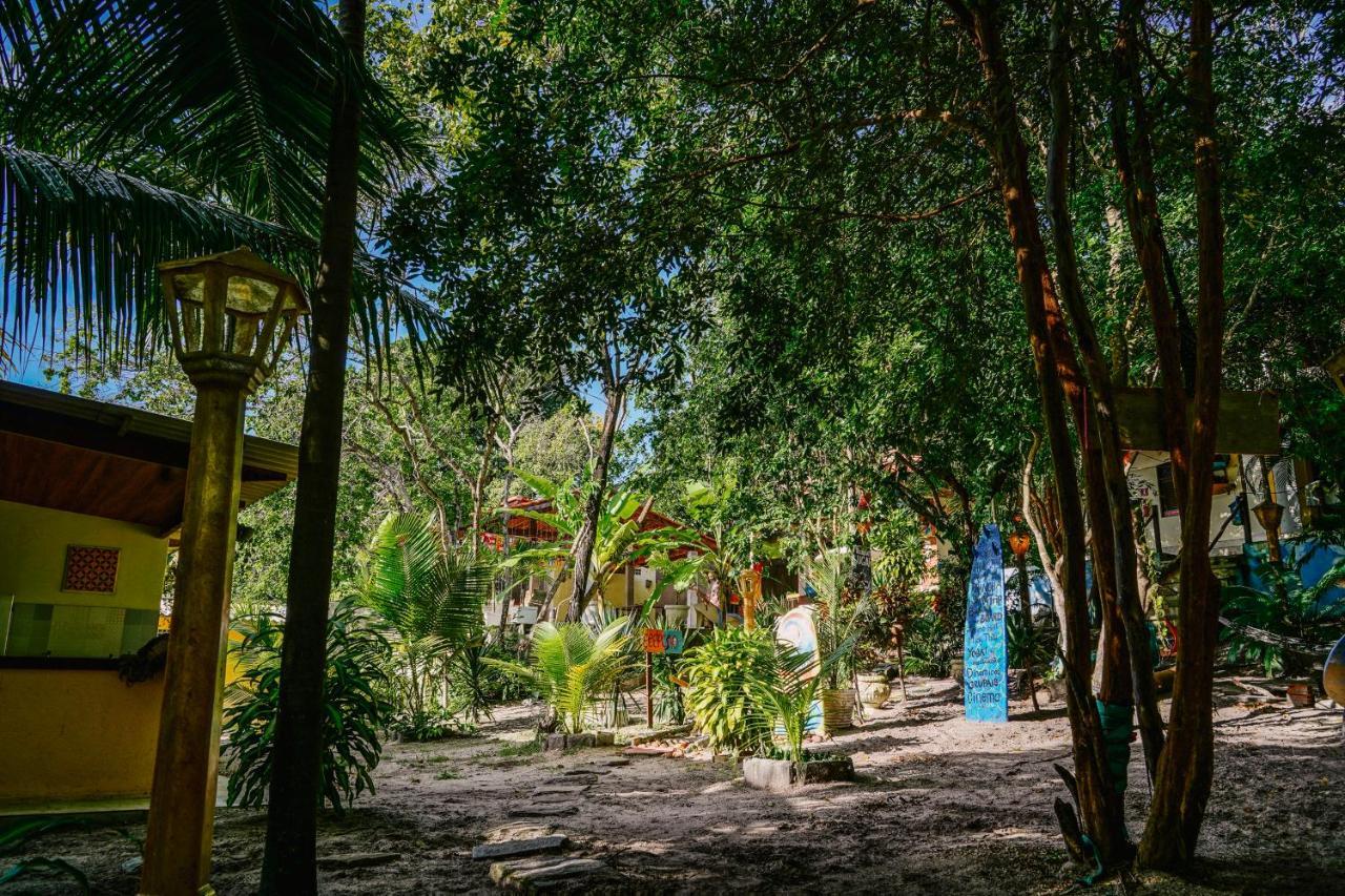 Macaco Surf Hostel Praia de Pipa 外观 照片