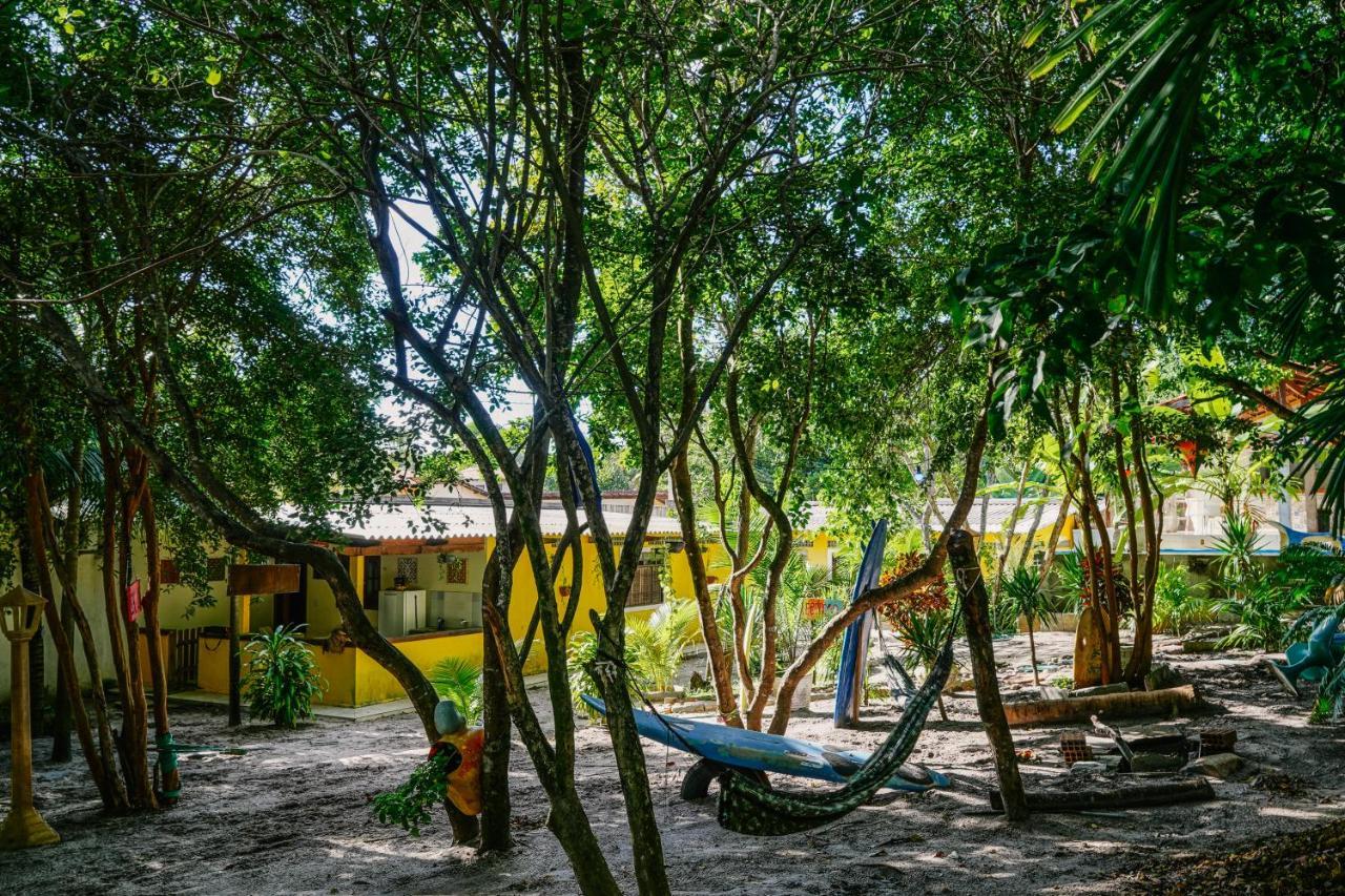 Macaco Surf Hostel Praia de Pipa 外观 照片